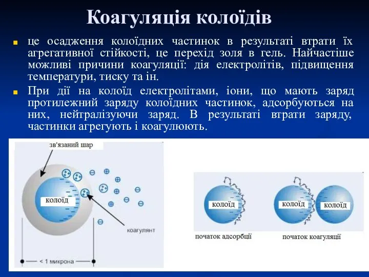 Коагуляція колоїдів це осадження колоїдних частинок в результаті втрати їх агрегативної