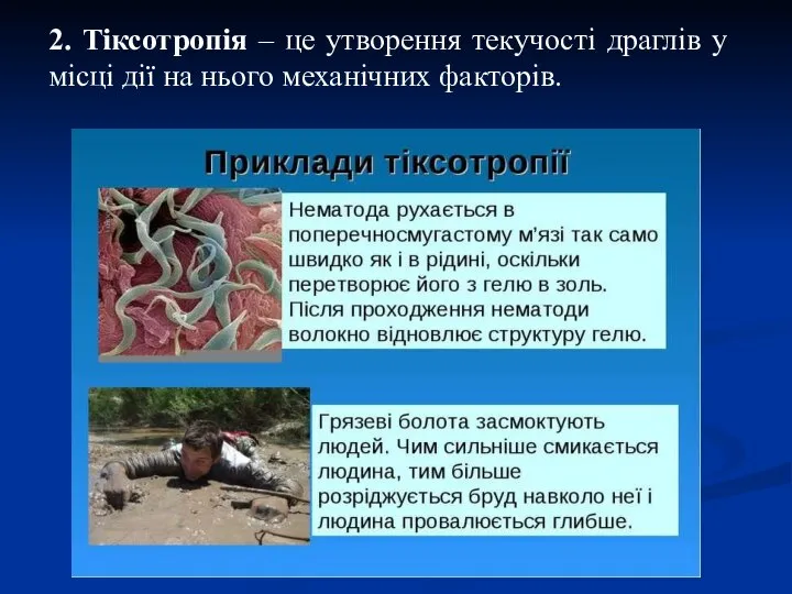 2. Тіксотропія – це утворення текучості драглів у місці дії на нього механічних факторів.