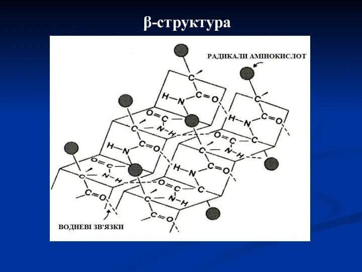 β-структура