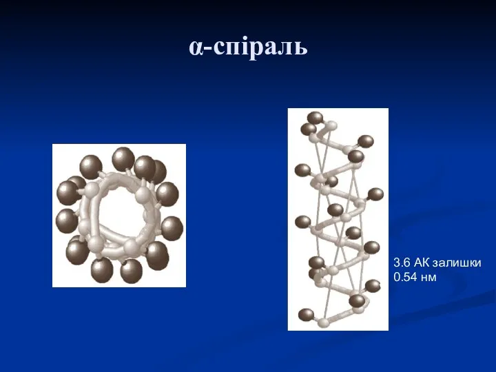 α-спіраль 3.6 АК залишки 0.54 нм