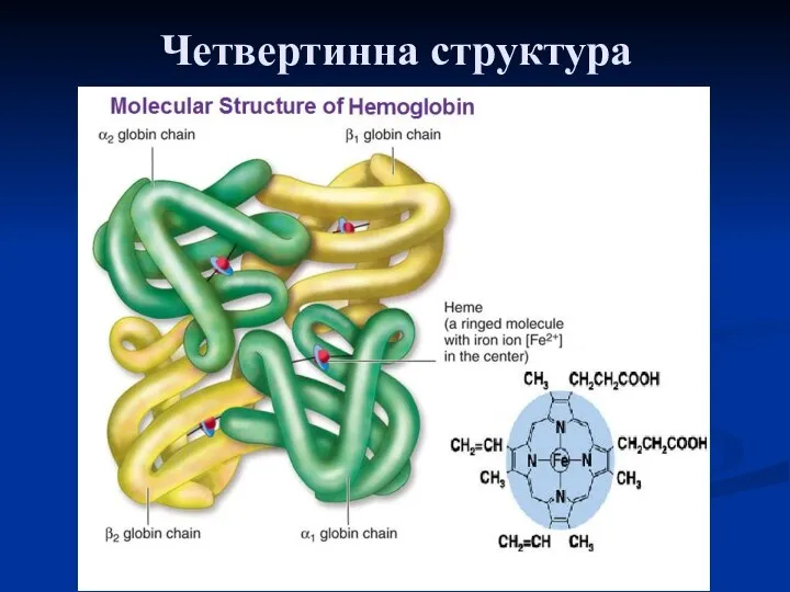 Четвертинна структура