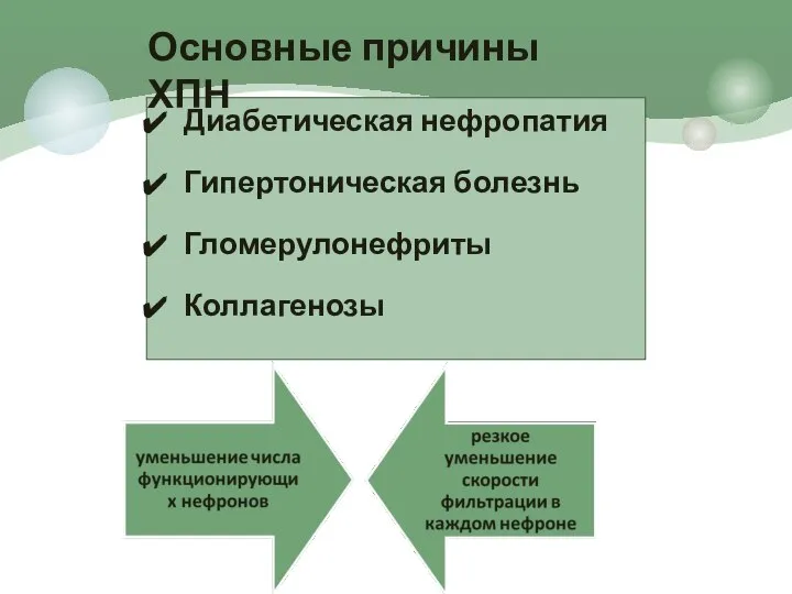 Диабетическая нефропатия Гипертоническая болезнь Гломерулонефриты Коллагенозы Основные причины ХПН