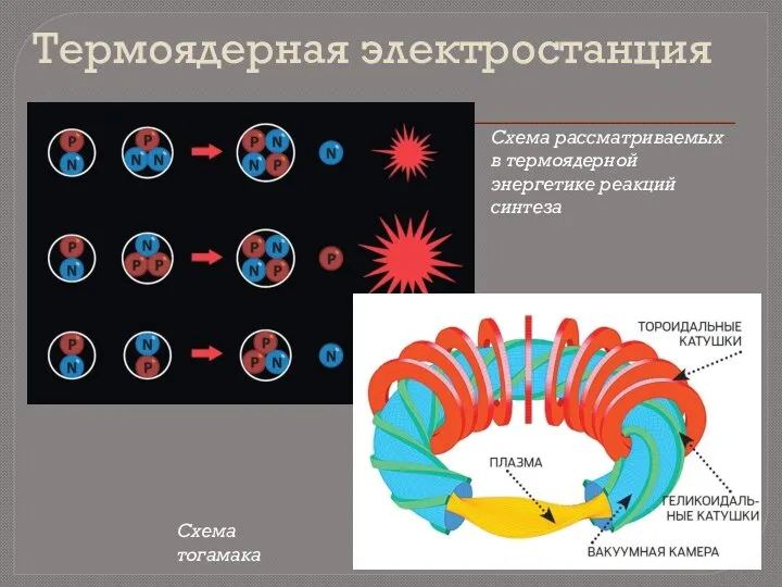 Термоядерная электростанция Схема рассматриваемых в термоядерной энергетике реакций синтеза Схема тогамака