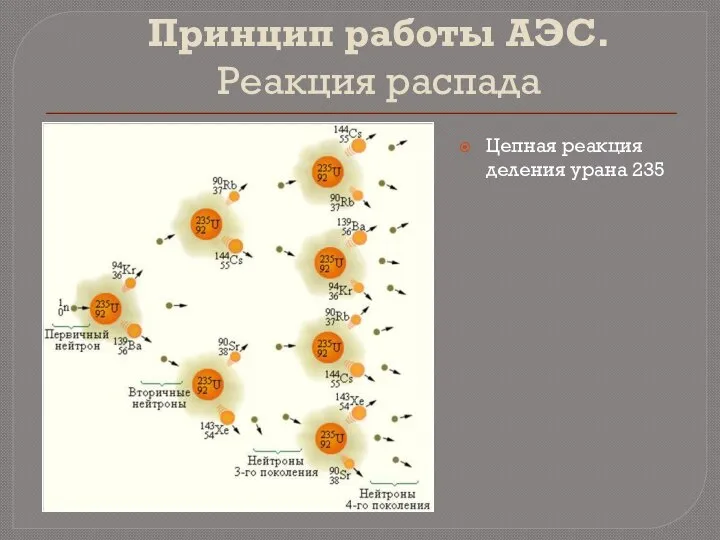 Принцип работы АЭС. Реакция распада Цепная реакция деления урана 235