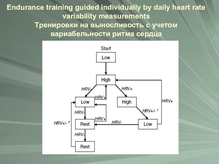 Endurance training guided individually by daily heart rate variability measurements Тренировки