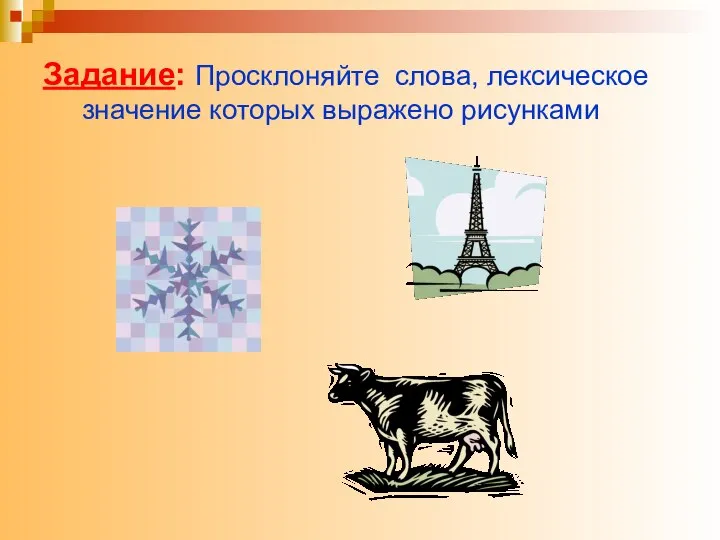 Задание: Просклоняйте слова, лексическое значение которых выражено рисунками