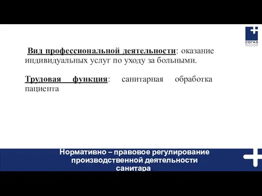 Вид профессиональной деятельности: оказание индивидуальных услуг по уходу за больными. Трудовая