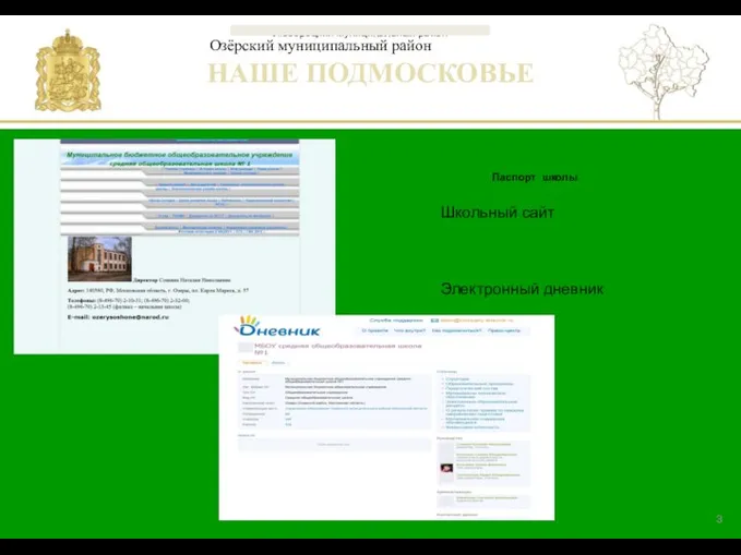 Школьный сайт Электронный дневник Озёрский муниципальный район