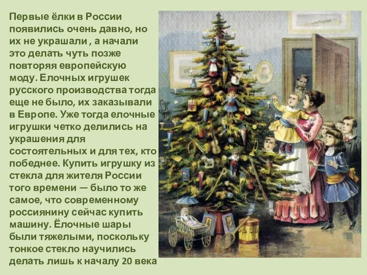 Первые ёлки в России появились очень давно, но их не украшали