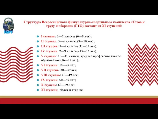 Структура Всероссийского физкультурно-спортивного комплекса «Готов к труду и обороне» (ГТО) состоит