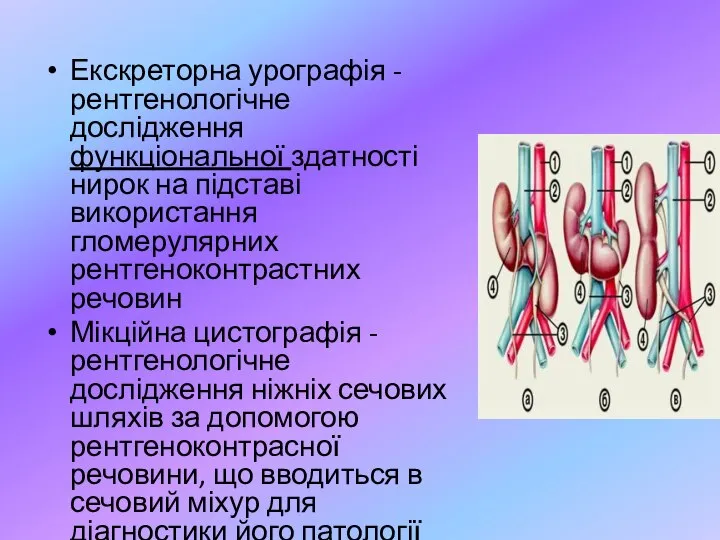 Екскреторна урографія - рентгенологічне дослідження функціональної здатності нирок на підставі використання