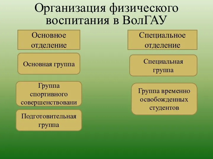 Организация физического воспитания в ВолГАУ Основное отделение Специальное отделение Основная группа