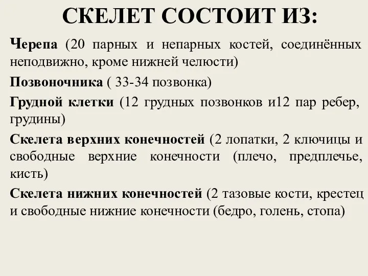 СКЕЛЕТ СОСТОИТ ИЗ: Черепа (20 парных и непарных костей, соединённых неподвижно,