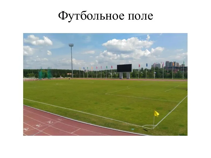 Футбольное поле