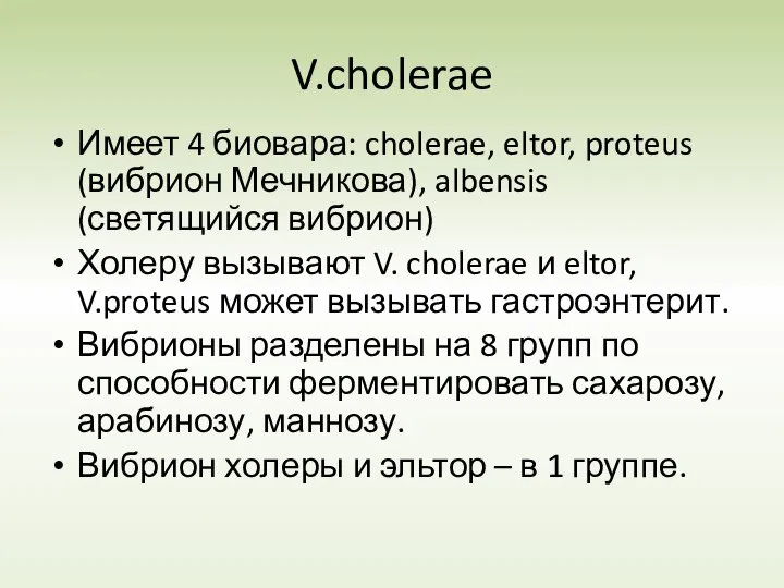 V.cholerae Имеет 4 биовара: cholerae, eltor, proteus (вибрион Мечникова), albensis (светящийся