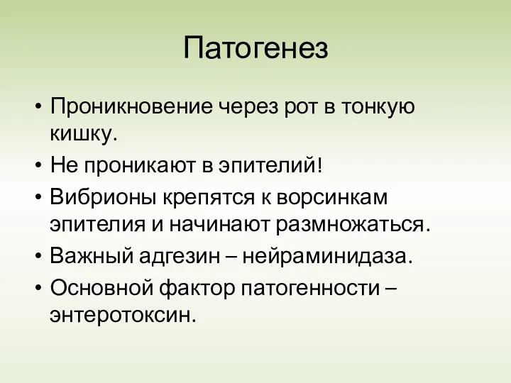 Патогенез Проникновение через рот в тонкую кишку. Не проникают в эпителий!