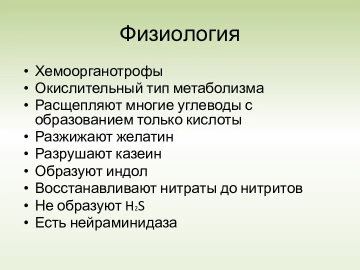 Физиология Хемоорганотрофы Окислительный тип метаболизма Расщепляют многие углеводы с образованием только