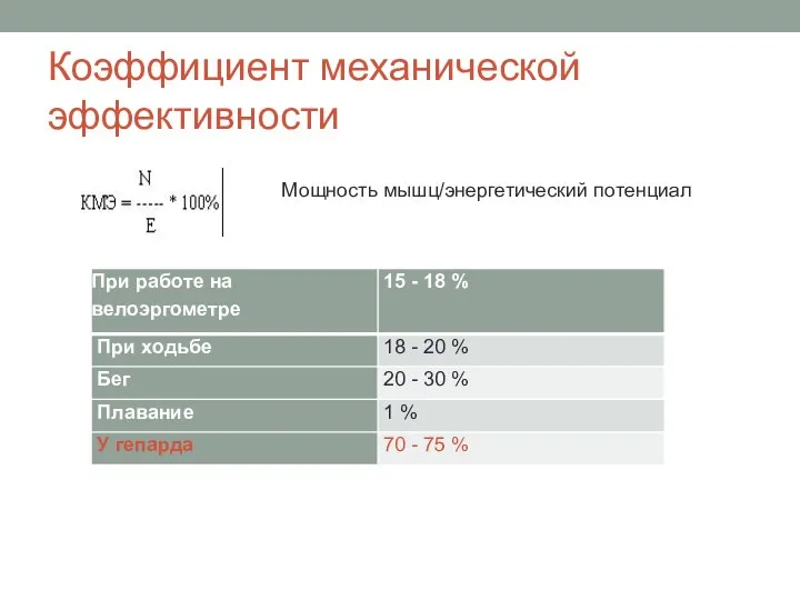 Коэффициент механической эффективности Мощность мышц/энергетический потенциал