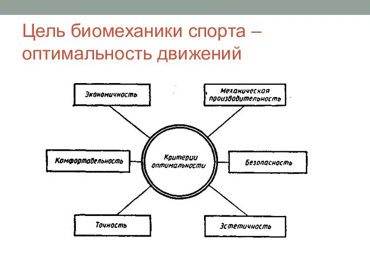 Цель биомеханики спорта – оптимальность движений