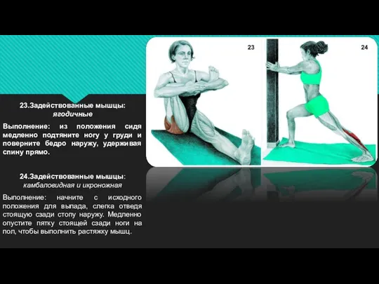 23.Задействованные мышцы: ягодичные Выполнение: из положения сидя медленно подтяните ногу у