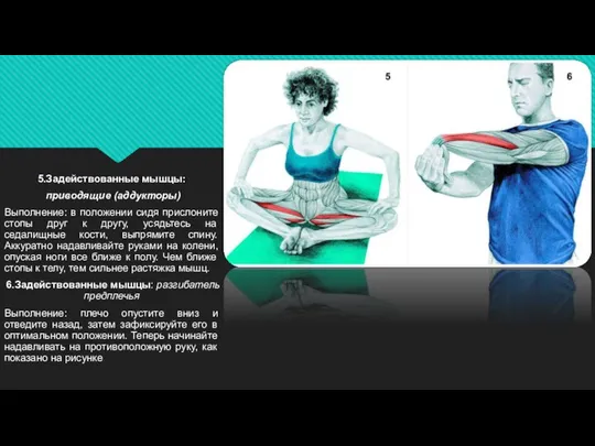 5.Задействованные мышцы: приводящие (аддукторы) Выполнение: в положении сидя прислоните стопы друг