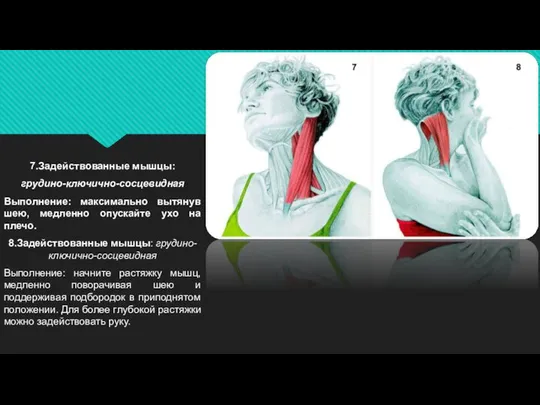 7.Задействованные мышцы: грудино-ключично-сосцевидная Выполнение: максимально вытянув шею, медленно опускайте ухо на