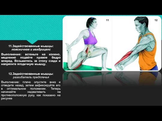 11.Задействованные мышцы: поясничная и квадрицепс Выполнение: встаньте на колено, медленно подайте