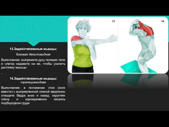 13.Задействованные мышцы: боковая дельтовидная Выполнение: выпрямите руку поперек тела и слегка