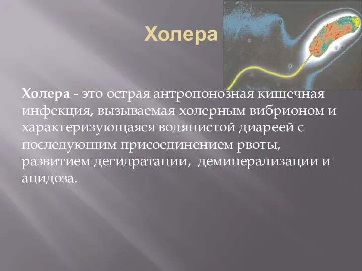 Холера Холера - это острая антропонозная кишечная инфекция, вызываемая холерным вибрионом