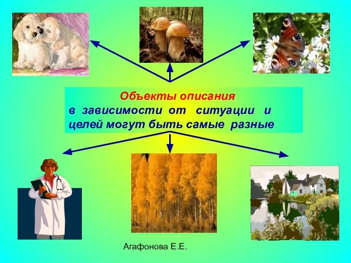 Агафонова Е.Е. Объекты описания в зависимости от ситуации и целей могут быть самые разные