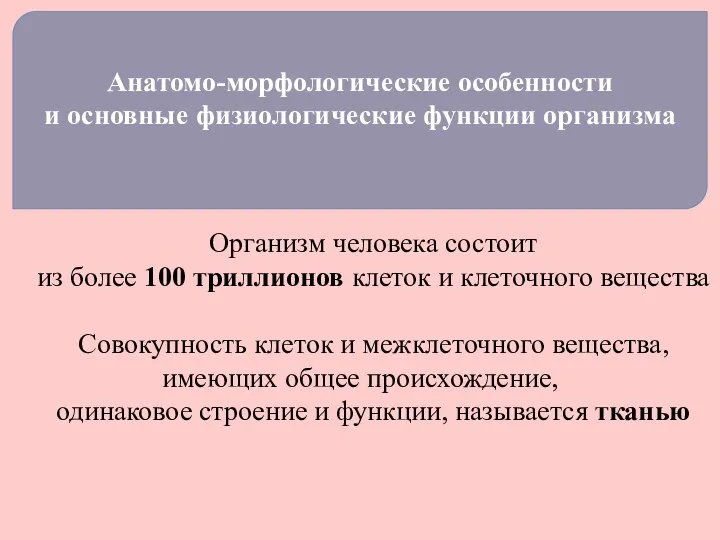 Анатомо-морфологические особенности и основные физиологические функции организма Организм человека состоит из