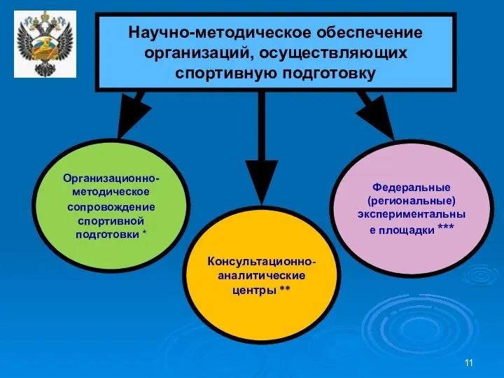 Федеральные (региональные) экспериментальные площадки *** Консультационно-аналитические центры ** Организационно-методическое сопровождение спортивной