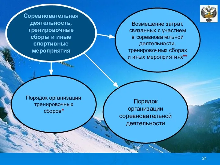 Соревновательная деятельность, тренировочные сборы и иные спортивные мероприятия Порядок организации соревновательной