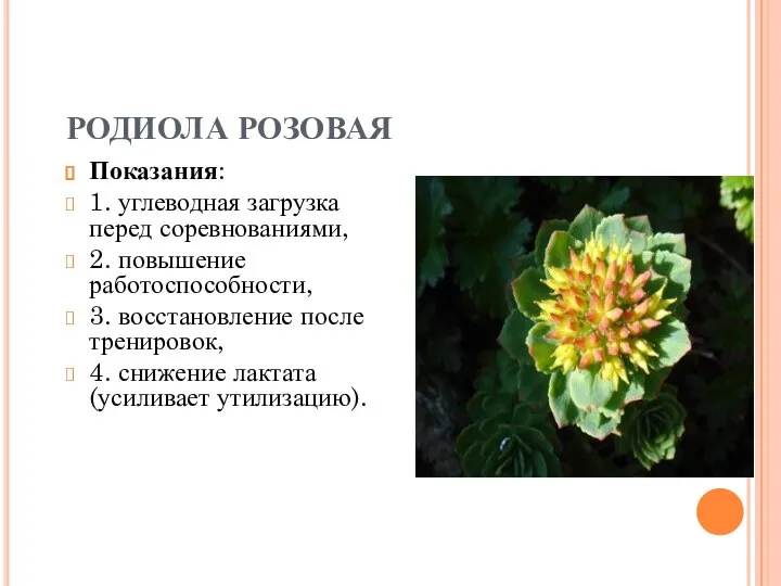 РОДИОЛА РОЗОВАЯ Показания: 1. углеводная загрузка перед соревнованиями, 2. повышение работоспособности,