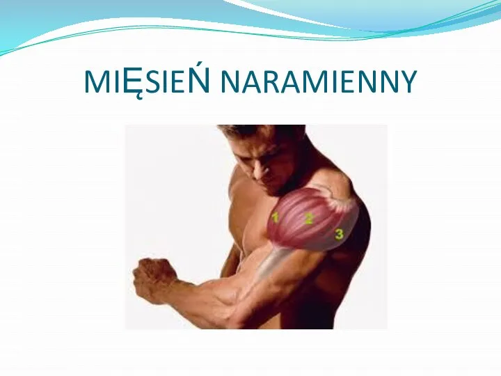 MIĘSIEŃ NARAMIENNY