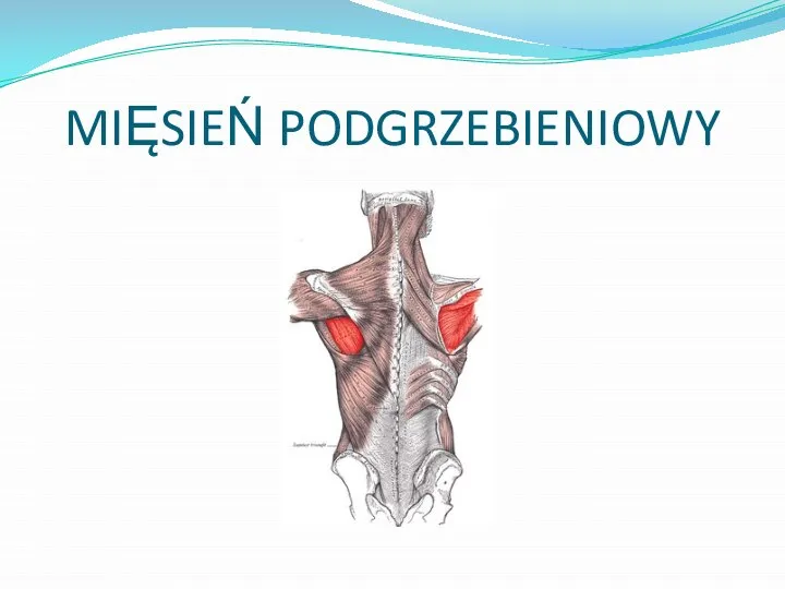 MIĘSIEŃ PODGRZEBIENIOWY