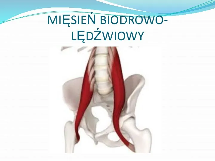 MIĘSIEŃ BIODROWO- LĘDŹWIOWY