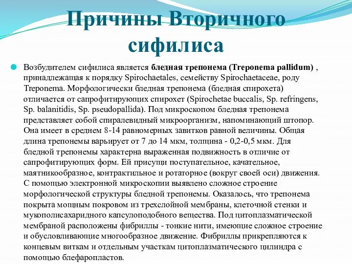 Причины Вторичного сифилиса Возбудителем сифилиса является бледная трепонема (Treponema pallidum) ,