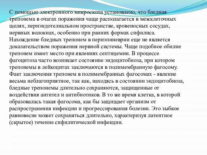 С помощью электронного микроскопа установлено, что бледная трепонема в очагах поражения