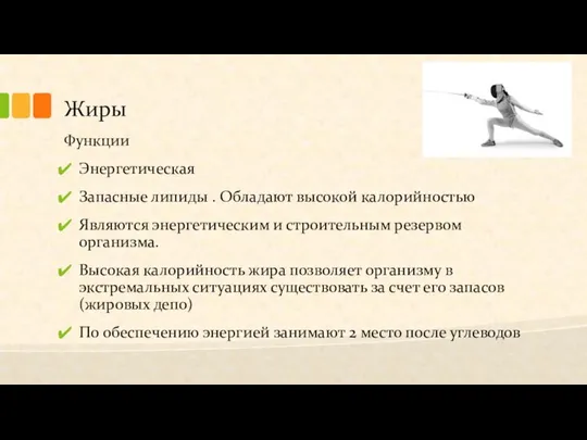 Жиры Функции Энергетическая Запасные липиды . Обладают высокой калорийностью Являются энергетическим