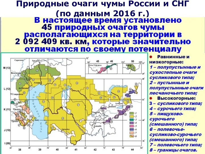 Природные очаги чумы России и СНГ (по данным 2016 г.)