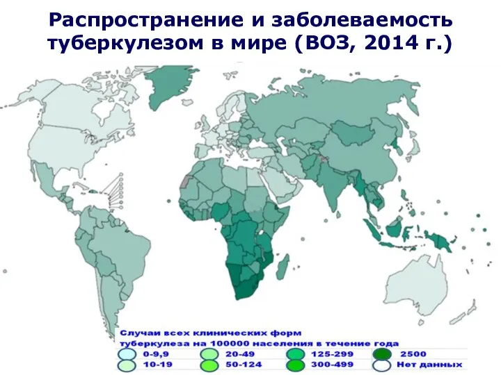 Распространение и заболеваемость туберкулезом в мире (ВОЗ, 2014 г.)
