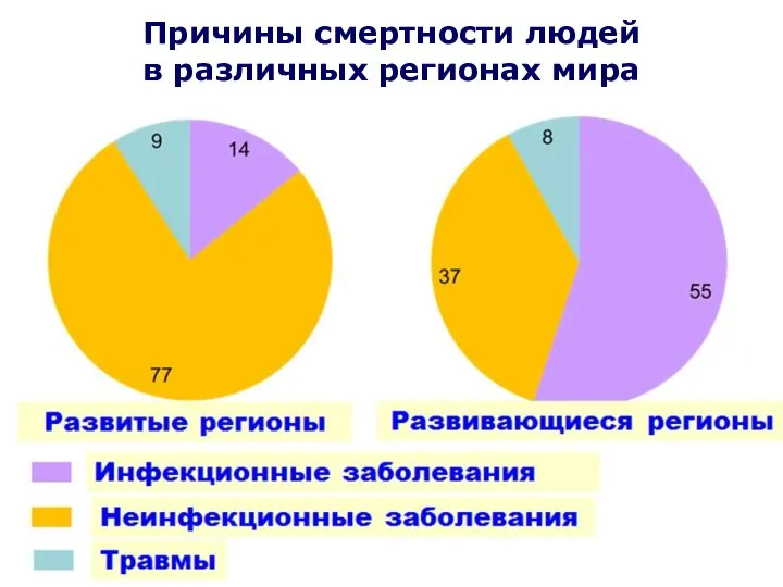 Причины смертности людей в различных регионах мира