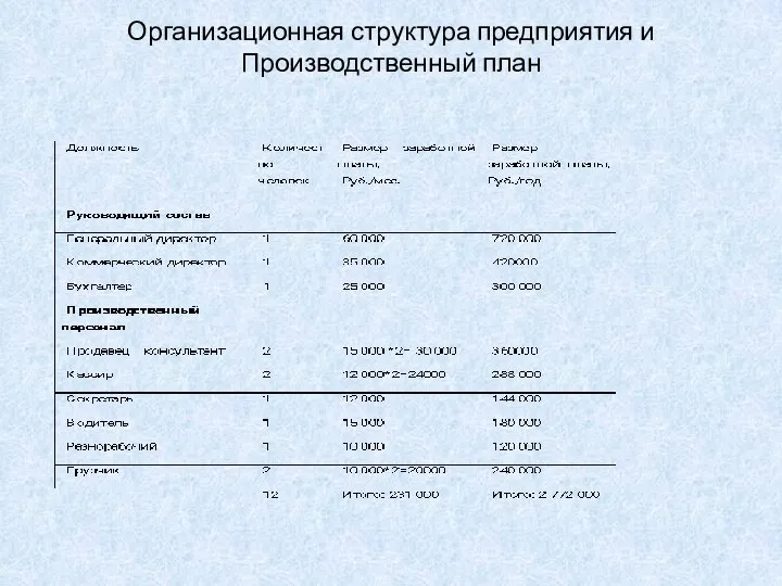 Организационная структура предприятия и Производственный план