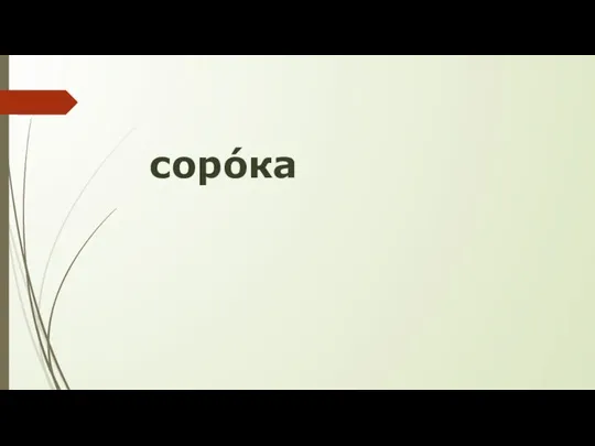 сорóка