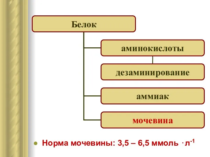 Белок Норма мочевины: 3,5 – 6,5 ммоль ⋅л-1