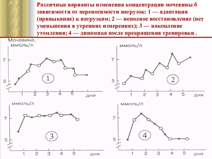 Различные варианты изменения концентрации мочевины б зависимости от переносимости нагрузок: 1