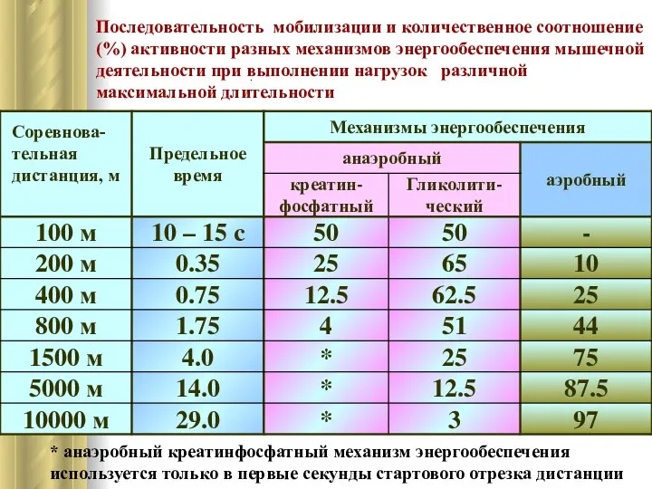 Последовательность мобилизации и количественное соотношение (%) активности разных механизмов энергообеспечения мышечной