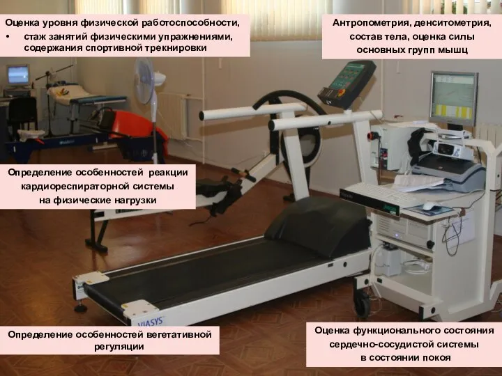 Определение особенностей реакции кардиореспираторной системы на физические нагрузки Оценка уровня физической