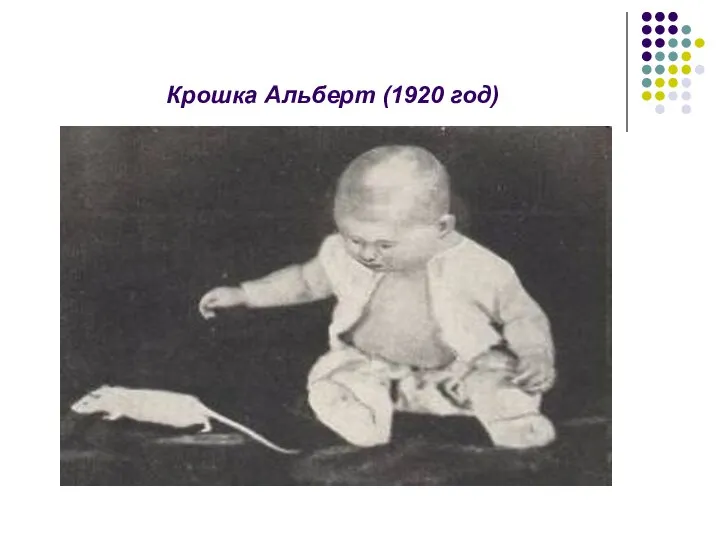 Крошка Альберт (1920 год)